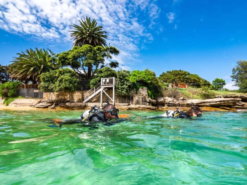 Sydney: Discover Scuba Dive at Australia's most Iconic Beach - Practicalities and Tips for Your Day