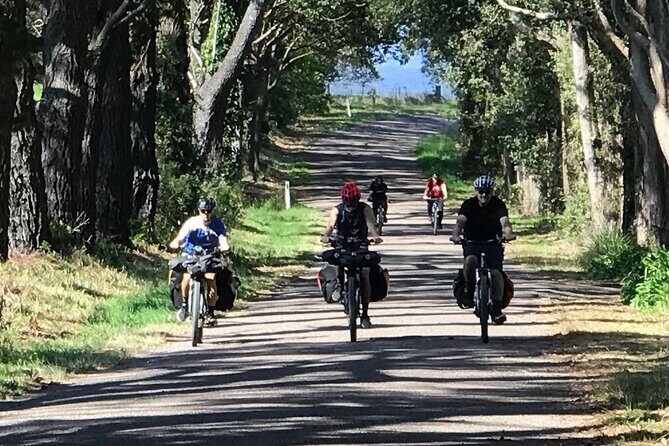 Sydney Electric Mountain Bike Guided Tour - What You Can Expect from the Experience