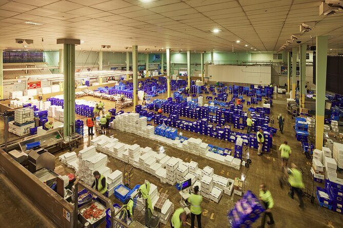 Sydney Fish Market Behind the Scenes Tour - Key Points