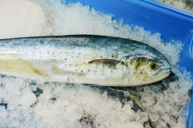 Sydney Fish Market Behind the Scenes Tour - The Sum Up: Is It Worth It?