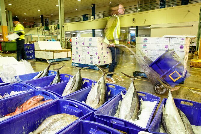 Sydney Fish Market Behind the Scenes Tour - FAQ