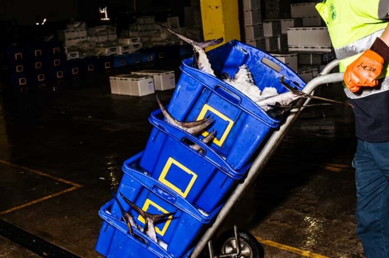 Sydney Fish Market Behind the Scenes Tour - Exploring the Tour Itinerary in Detail