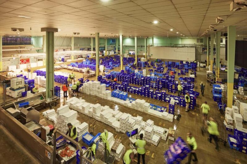 Sydney Fish Market Behind the Scenes Tour - Who Will Love This Tour?