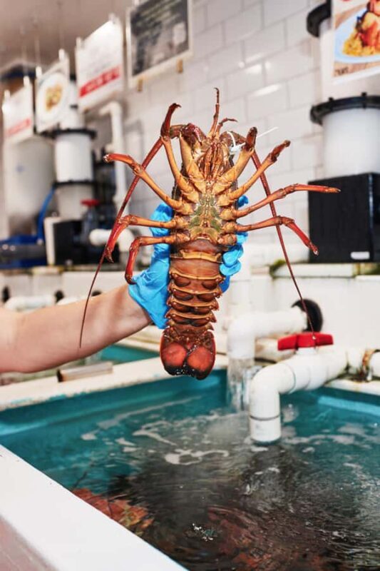 Sydney Fish Market Discovery Tour - Key Points