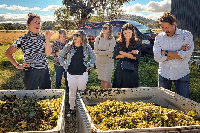 Sydney Grains and Grapes Hunter Valley Wine and Beer with Lunch - An In-Depth Look at the Hunter Valley Grains & Grapes Tour