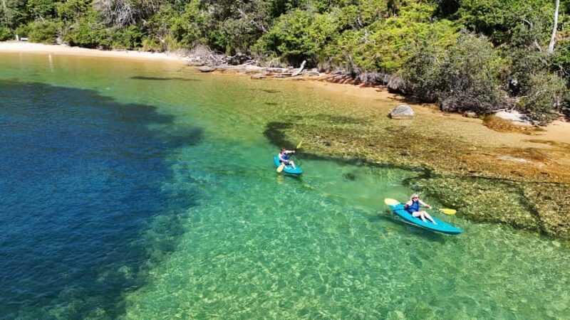 Sydney: Guided Kayak Taster Tour from Manly - What to Expect on Your Kayaking Adventure
