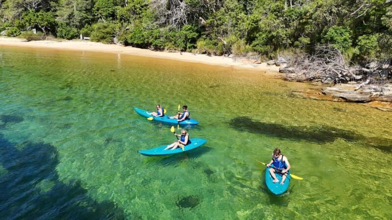 Sydney: Guided Kayak Taster Tour from Manly - Why This Tour Offers Great Value