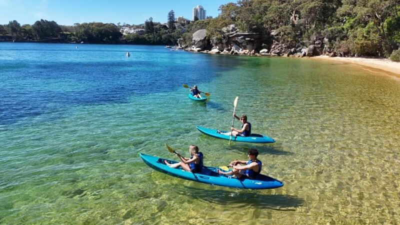 Sydney: Guided Kayak Taster Tour from Manly - Authentic Experience and Friendly Guides