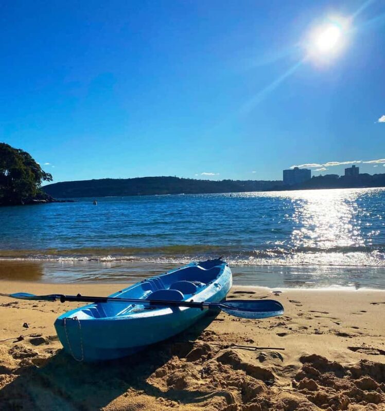 Sydney: Guided Kayak Taster Tour from Manly - Is This Tour Right for You?