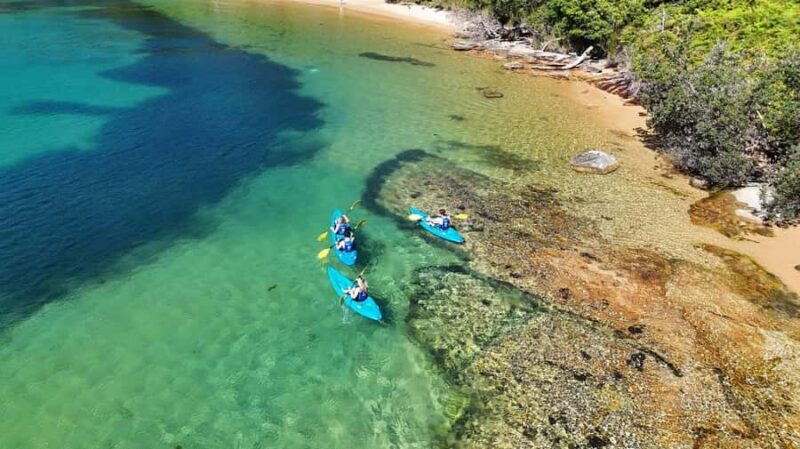 Sydney: Guided Kayak Taster Tour from Manly - Final Thoughts