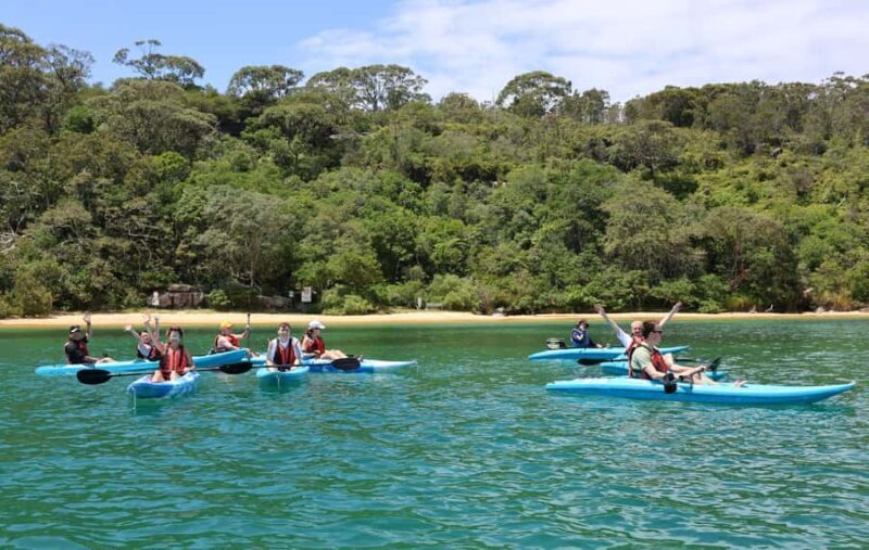Sydney: Guided Kayak Tour of Manly Cove Beaches - Sydney: Guided Kayak Tour of Manly Cove Beaches — An In-Depth Review
