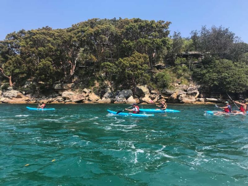 Sydney: Guided Kayak Tour of Manly Cove Beaches - What to Expect from the Guided Kayak Tour