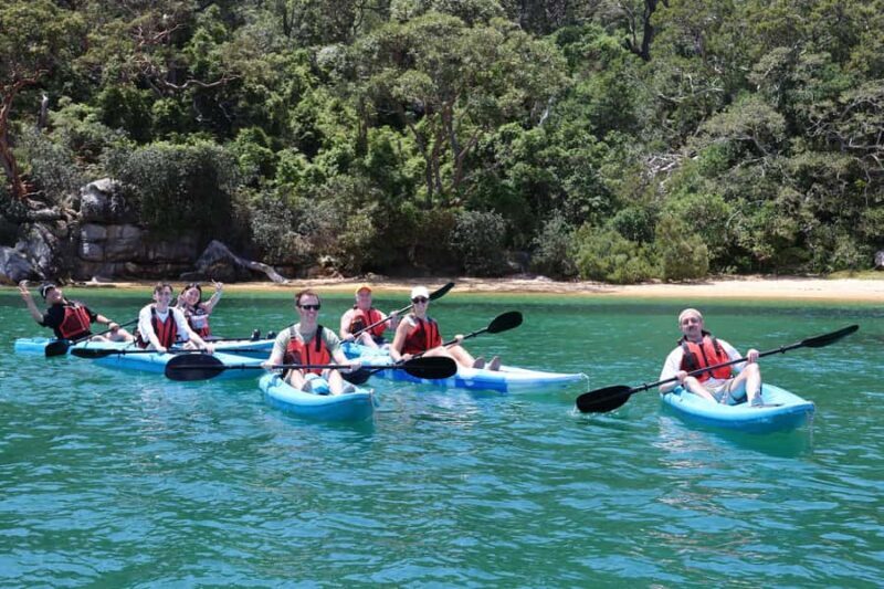 Sydney: Guided Kayak Tour of Manly Cove Beaches - The Experience in Detail: A Closer Look at the Highlights