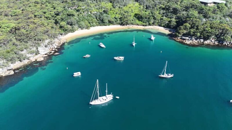 Sydney: Guided Kayak Tour of Manly Cove Beaches - FAQ