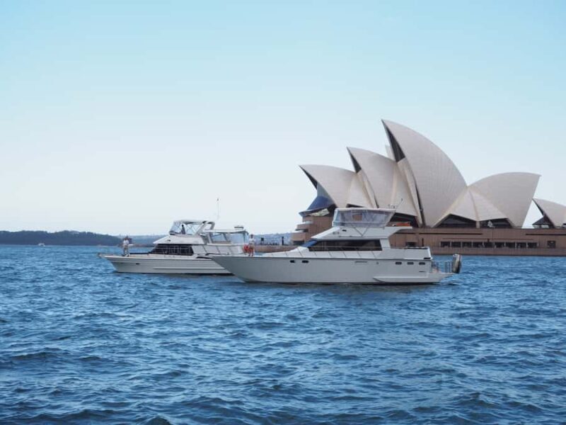 Sydney Harbour: 2-Hour Morning Yacht Cruise with Morning Tea - Key Points