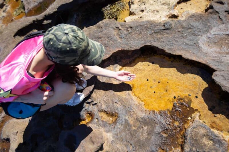 Sydney Harbour National Park 2-Hour Walking Tour - An Authentic Look at Sydney Harbour’s Natural and Cultural Heritage