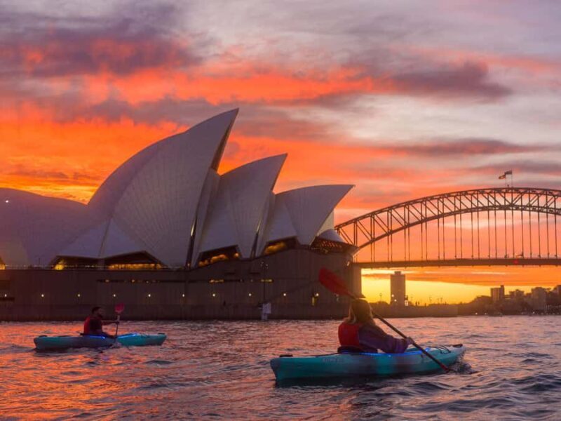 Sydney: Harbour Sunrise Kayak Tour - Key Points