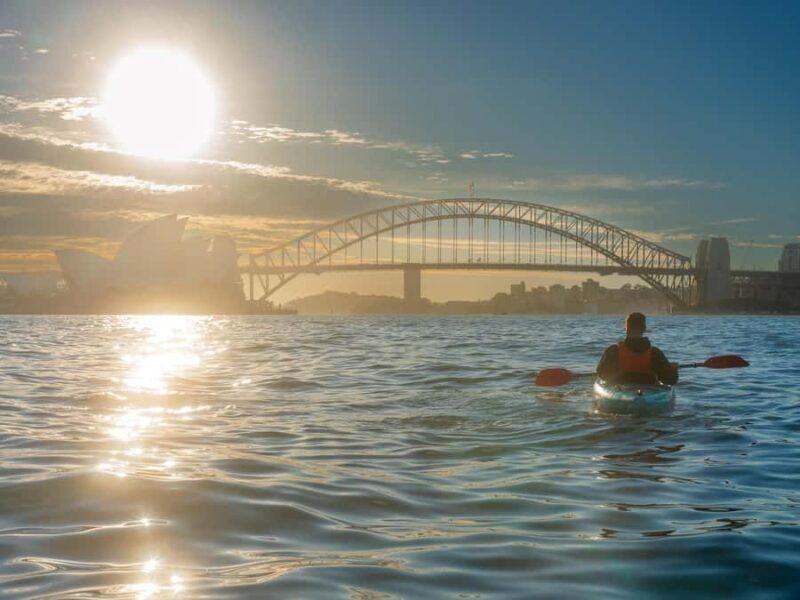 Sydney: Harbour Sunrise Kayak Tour - An In-Depth Look at the Sydney Harbour Sunrise Kayak Tour