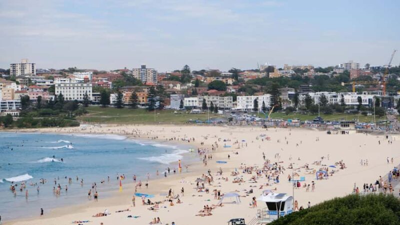Sydney Harbour to Bondi: Small Group HalfDay Experience - The Sum Up