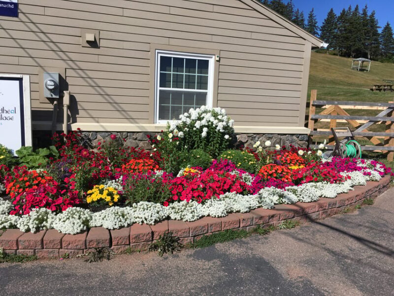 Sydney: Highland Village & Bell Museum Cruise Excursion - The Sum Up