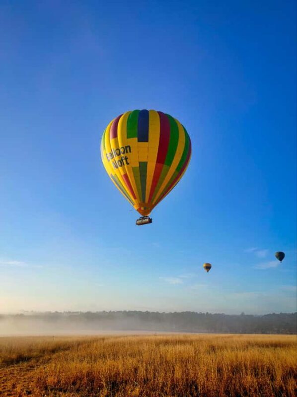 Sydney: Hunter Valley Sunrise Balloon Flight with Transfer - A Detailed Look at the Hunter Valley Sunrise Balloon Tour
