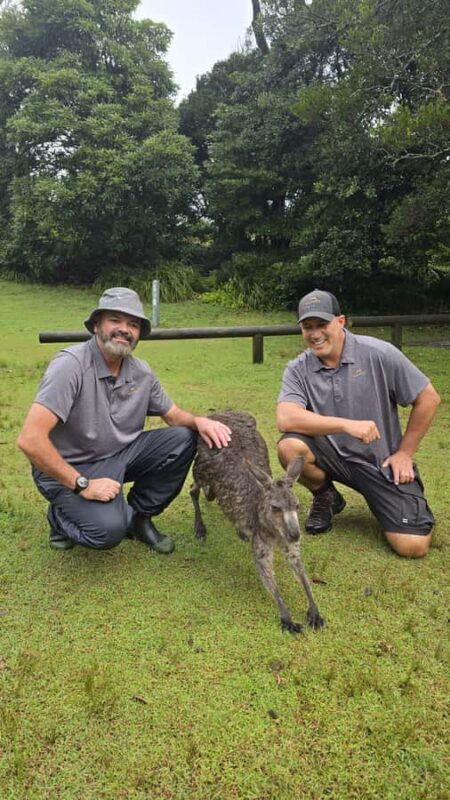 Sydney: Jervis Bay Day Trip with Dolphins, Roos & Beach Time - Analyzing the Value