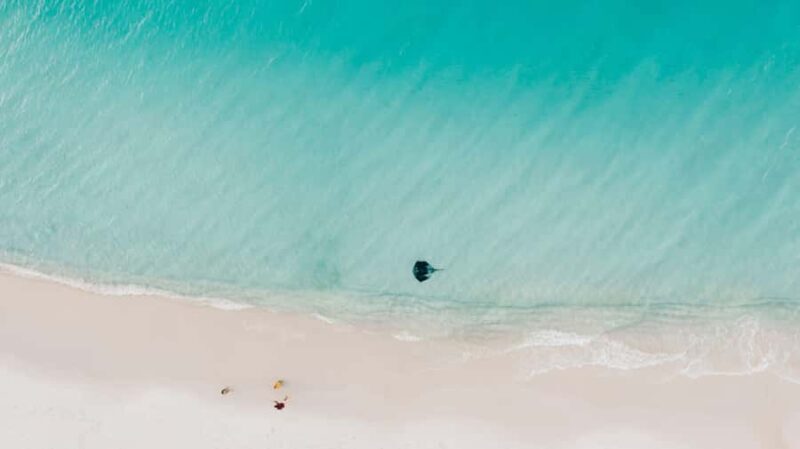 Sydney: Jervis Bay Tour with Beaches, Koalas & Kangaroos - A Deep Dive into the Tour Experience