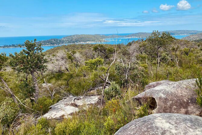 Sydney: Ku-ring-gai Chase National Park with Hike, Swim, Picnic - A Deep Dive into the Ku-ring-gai Chase National Park Experience