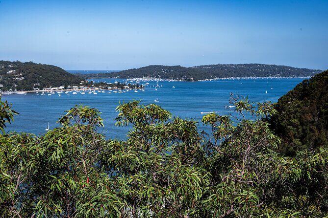 Sydney: Ku-ring-gai Chase National Park with Hike, Swim, Picnic - FAQ
