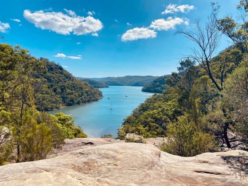 Sydney: Ku-ring-gai National Park with swim and picnic - The Value in Personal Touch and Authenticity