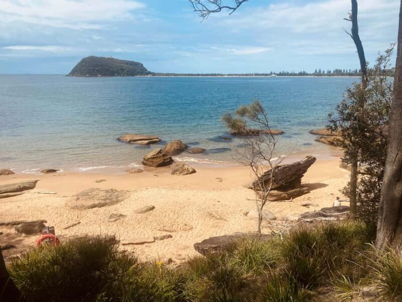 Sydney: Ku-ring-gai National Park with swim and picnic - Who Will Love This Tour?