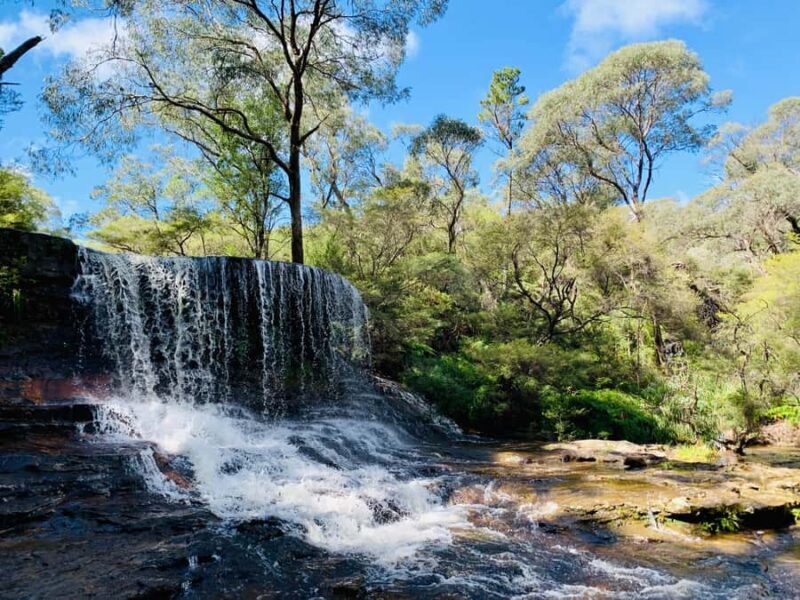 Sydney: Luxury Blue Mountains Adventure with Wentworth Falls - Final Thoughts