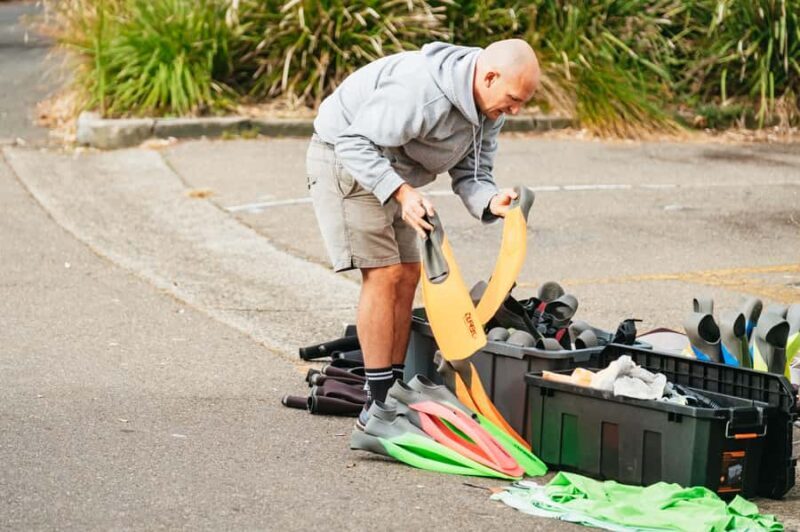 Sydney: Manly and Shelly Beach Snorkeling Tour - Snorkeling at Shelly Beach