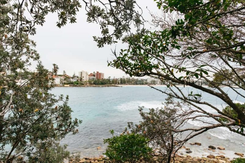 Sydney: Manly and Shelly Beach Snorkeling Tour - FAQ