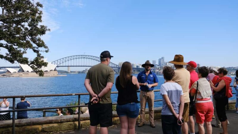 Sydney: Morning Sightseeing Bus to Bondi with Lunch Cruise - The Harbour Lunch Cruise: A Moving Feast
