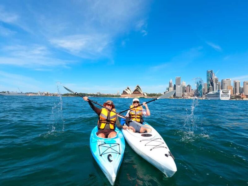 Sydney: Opera & Harbour Bridge Small-Group Kayak Tour - What Makes This Tour Stand Out?