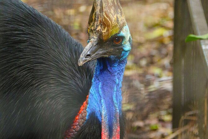 Sydney Opera House and Aussie Animals Private Tour - What Travelers Say