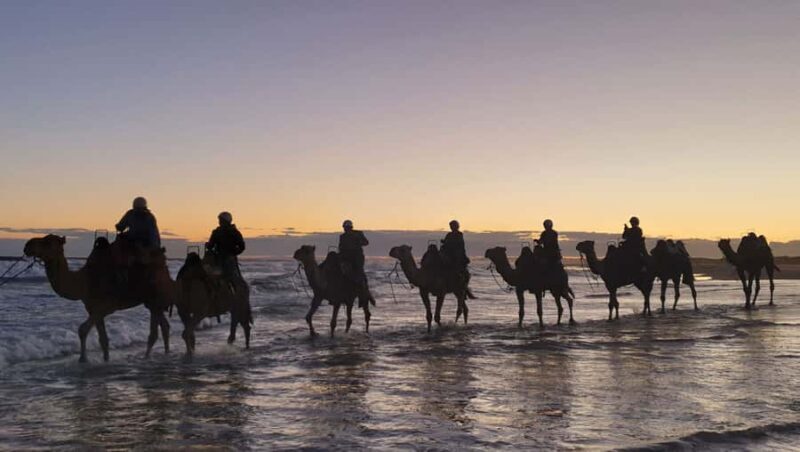 Sydney: Port Stephens Private Day Tour - The Journey Begins: Comfortable Transfer and Flexibility