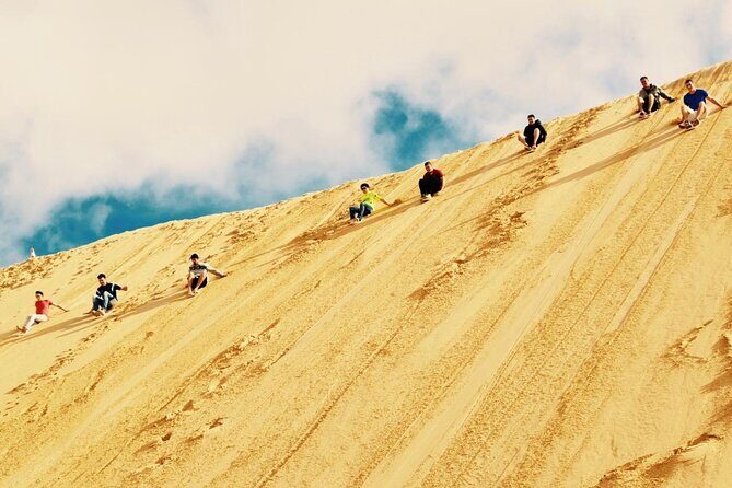 Sydney: Port Stephens Sandboarding, Dunes & Dolphin Cruise option - What’s Included and What You Should Budget For