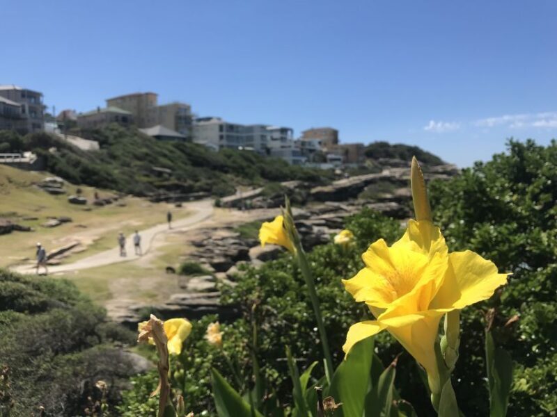 Sydney: Private Custom Tour with a Local  Icons & Gems - What the Reviews Say