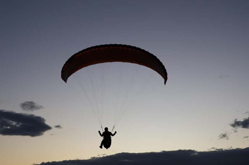 Sydney: Royal National Park private day tour - The Practical Aspects