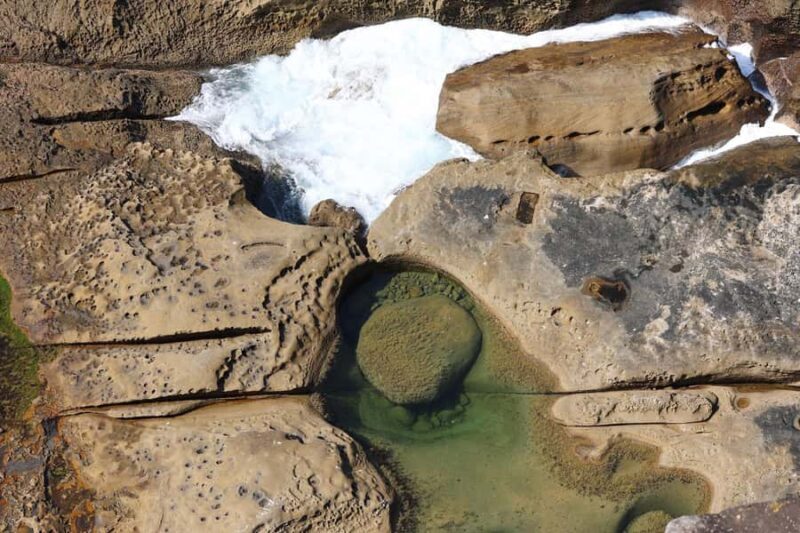 Sydney: Royal National Park private day tour - Who Should Consider This Tour?