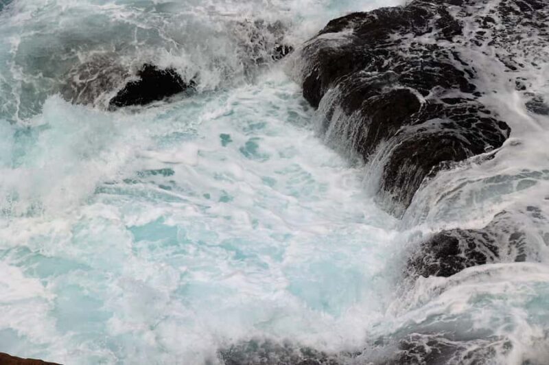 Sydney: Royal National Park private day tour - Final Thoughts