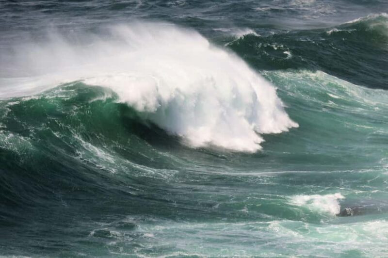 Sydney: Royal National Park private day tour - FAQ