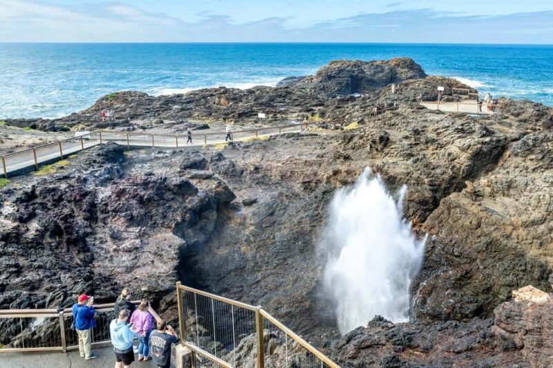 Sydney: Sea Cliff Bridge, Kiama Blowhole and Farmlands Tour - The Itinerary: What to Expect From Start to Finish