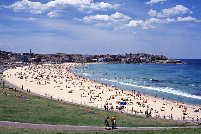 Sydney Shore Excursion: Half-Day Sydney City Highlights with Bondi Beach and Watsons Bay - An Overview of the Tour