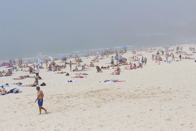 Sydney Shore Excursion: Half-Day Sydney City Highlights with Bondi Beach and Watsons Bay - Practical Tips for Travelers