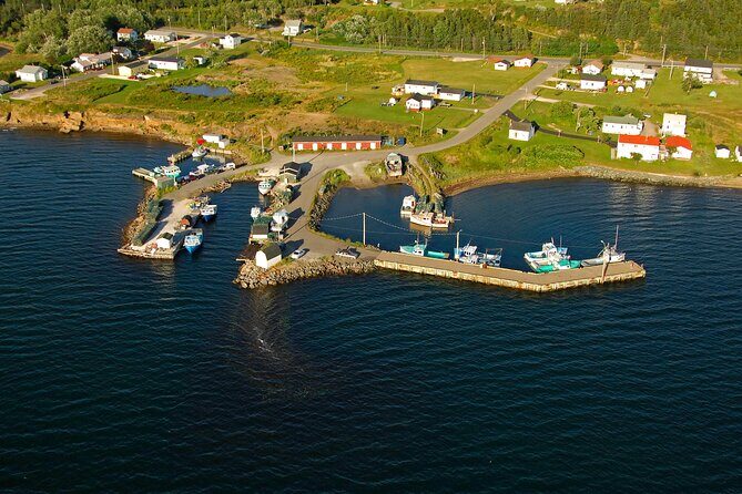 Sydney Sightseer City and Coastal Tour - Final Thoughts