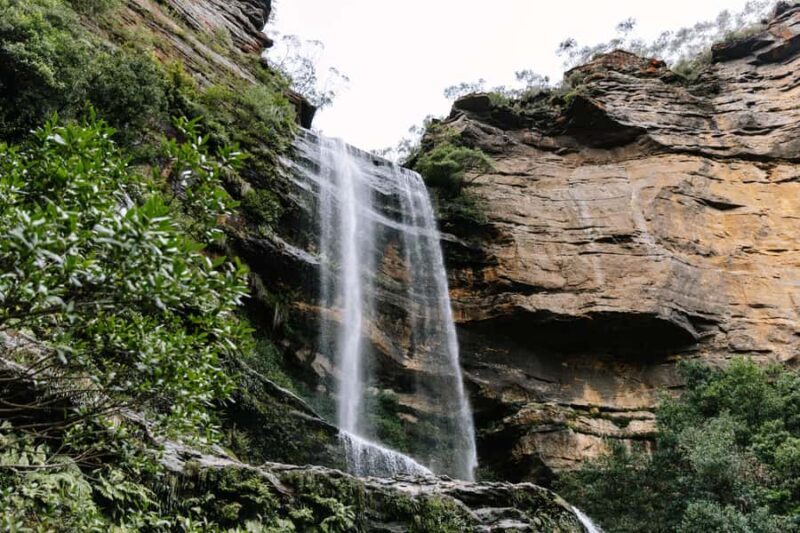 Sydney: Small Group Blue Mountains, Wildlife & Waterfalls - An In-Depth Look at the Blue Mountains Tour