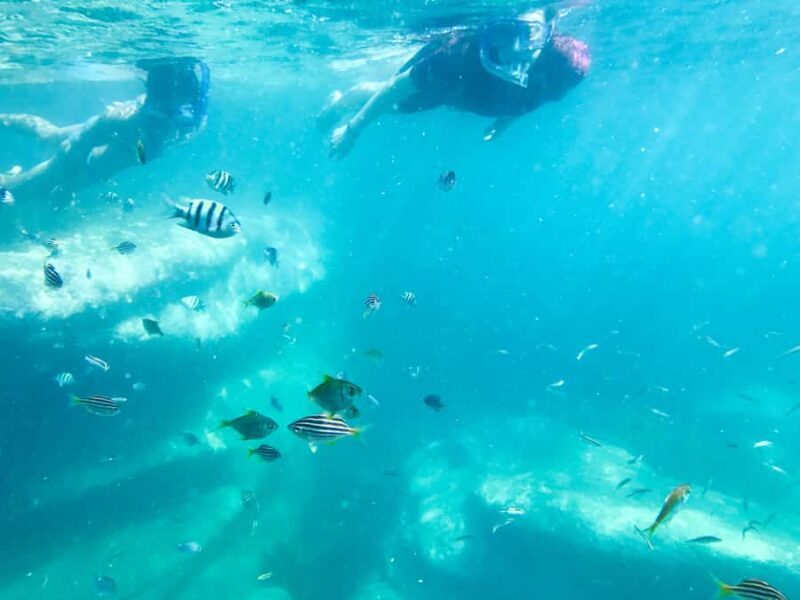 Sydney: Snorkeling Tour for Kids with Private Guide - Who Will Love This Experience?